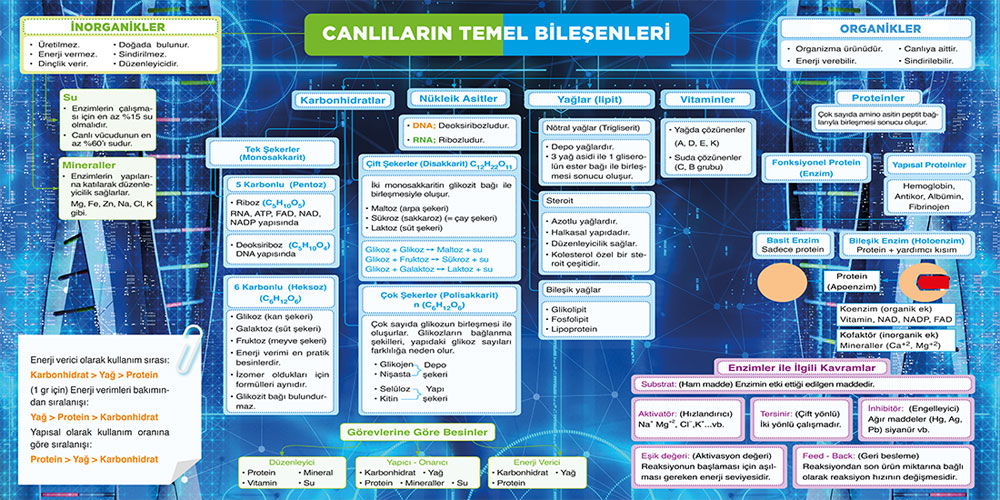 Canlıların%20temel%20bileşenleri