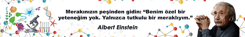 Albert%20Einstein