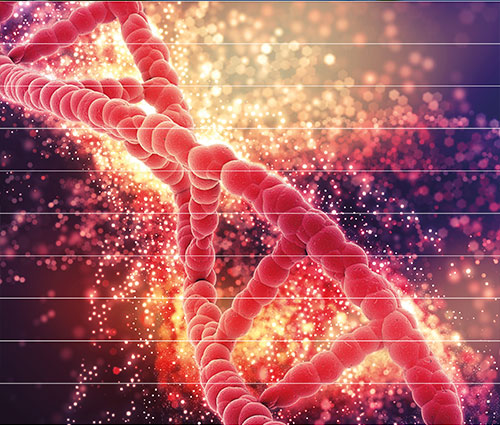 DNA%20merdiven%20görseli