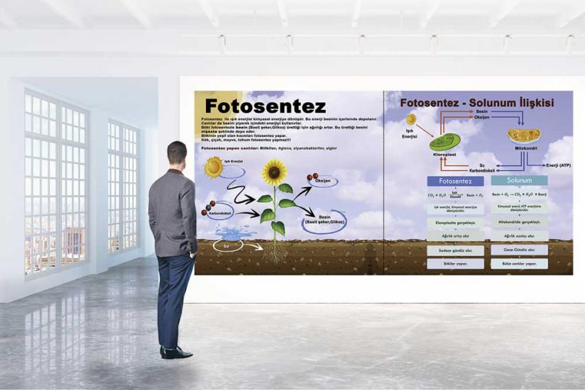 Fen sokağı, fen sokağı posterleri, fen koridoru, fen bilgisi kapı giydirme, laboratuvar kapı giydirme, fen bilgisi kiriş yazıları, fen bilimleri, fen bilgisi posteri, fen bilgisi afişleri, fen sokağı