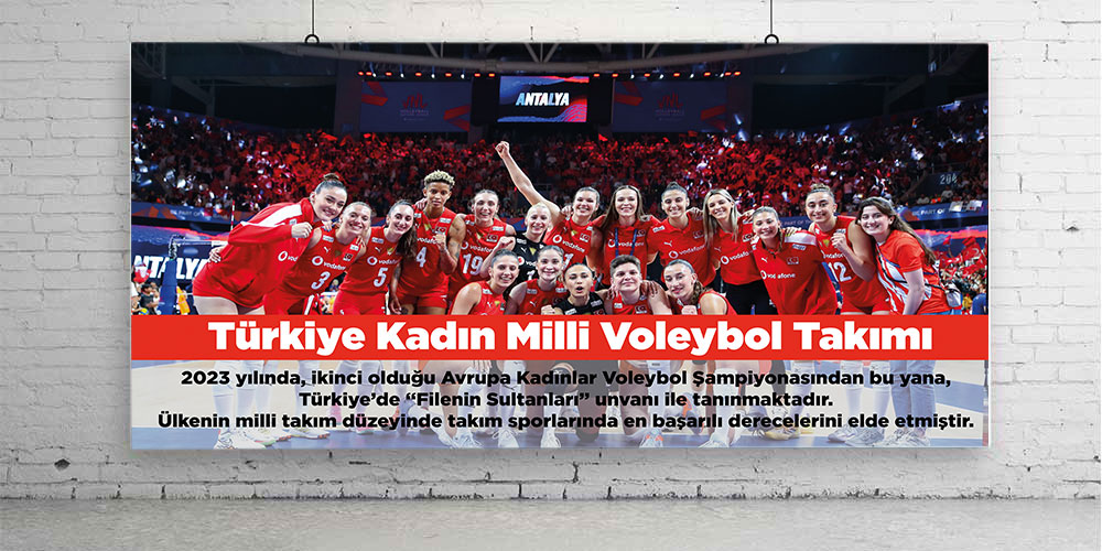 Voleybol%20Milli%20takımı%20posteri